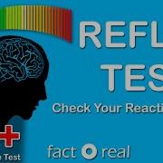 Reflex Test Check Your Reaction Speed How Fast You Are