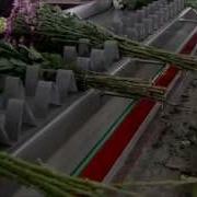Roofing Belt BTM Flower Processing Machine