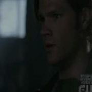 Yellow Fever Dean Funny Moments
