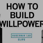 How To Build Extreme Willpower David Goggins Dr Andrew Huberman