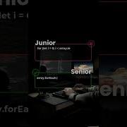 Junior Vs Senior Noob Vs Pro Front End Developer Webdesign Coding Html Programming Shorts