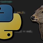 Building A Bambi Math Game In Python