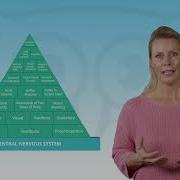 What Is The Pyramid Of Learning