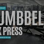 Dumbbell Hex Press How To Perform It Correctly Trevor Kashey Nutrition