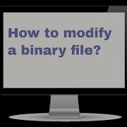 PYTHON QUERIES HOW TO MODIFY A BINARY FILE IN PYTHON PROGRAMMING