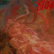 Morbid Angel Desolate Ways Acoustic Instrumental