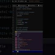 Indian Flag In Python Turtle Graphics Python Shorts Shortvideo Coding