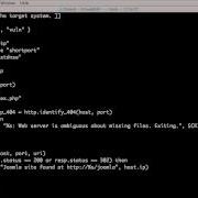 03 05 Hacking And Penetration Web Testing With NMAP