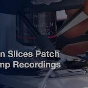 Brain Slices Whole Cell Patch Clamp Recordings