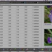 Exploratory Data Analysis 01 Simple Plotting Tools Iris Dataset EDA AI Experiments