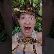 I M Lost In The Jungle Dangerous Foods ASMR Ft Sushi Monsters