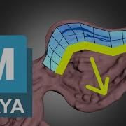 Quad Draw The FAST Way Maya Retopology