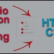 Pure CSS Custom Radio Button HTML CSS