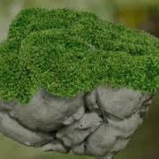 Unreal Engine Moss Test Mask And Two Sided Foliage Turn Table Turn Light