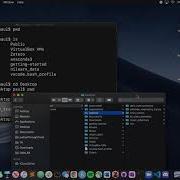 Changing Your Working Directory