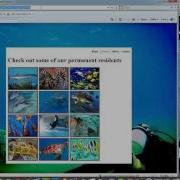 27 41 Cross Browser Testing And W3C Validation