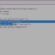 Java Programming Tutorial 5 Variables