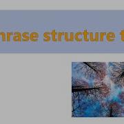 11 Phrase Structure Trees