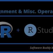R Programming Assignment Miscellaneous Operators In R