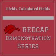 Calculated Fields