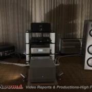 Von Schweikert Audio VR 55 Loudspeaker YFS Master Built Cables RMAF