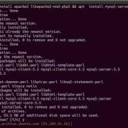 How To Install Phalcon PHP Framework On Ubuntu