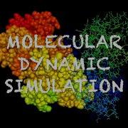 Molecular Dynamic Simulation