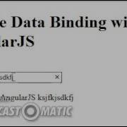 AngularJS IE Clear Button