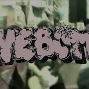 JIVEBOMB Live Schoolkid Records