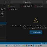 Node Js Tutorial To Export Images To PDF Document With Effects Using FilePix Library In Javascript