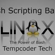Bash Scripting 101 Mastering The Basics Part 1