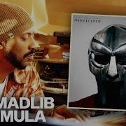 Inside Madvillainy What Producers Can Learn From Madlib S Genius Sampling