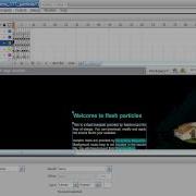 Editing Buttons In Flash Templates