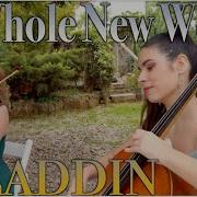 A Whole New World Aladdin String Quartet Cover