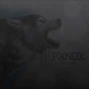 PXNDX Usted Letra Sangre Fría