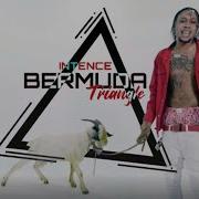 Intence Bermuda Triangle