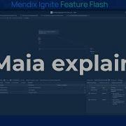 Mendix Maia Explain How To Auto Understand Microflows And Nanoflows