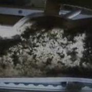 Ep 19b Particle Agglomerates In Microgravity