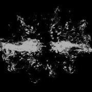 Shockwave Organic 02
