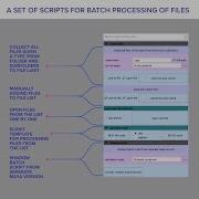 Batch Helper Script For MAYA English Version