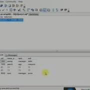 SQL SERVER UPDATE SELECT AND DELETE QUERY