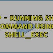 Php Running Shell Command Using Shell Exec