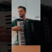 KICK BACK Chainsaw Man OP Accordion Kenshi Yonezu