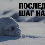 K2 Гора смерти Реальные истории тех кто не вернулся