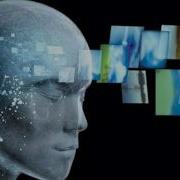 What Is Consciousness