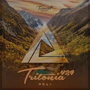 Honestly Tritonia 429