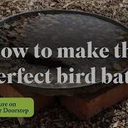 How To Make The Perfect Bird Bath RSPB Nature On Your Doorstep