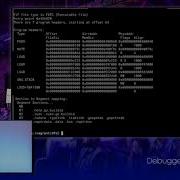 GopherCon UK 2018 Liz Rice Debuggers From Scratch