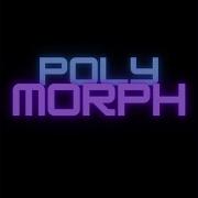PolyMorphogenetic Fields 2