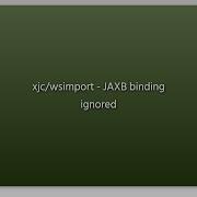 Xjc Wsimport JAXB Binding Ignored